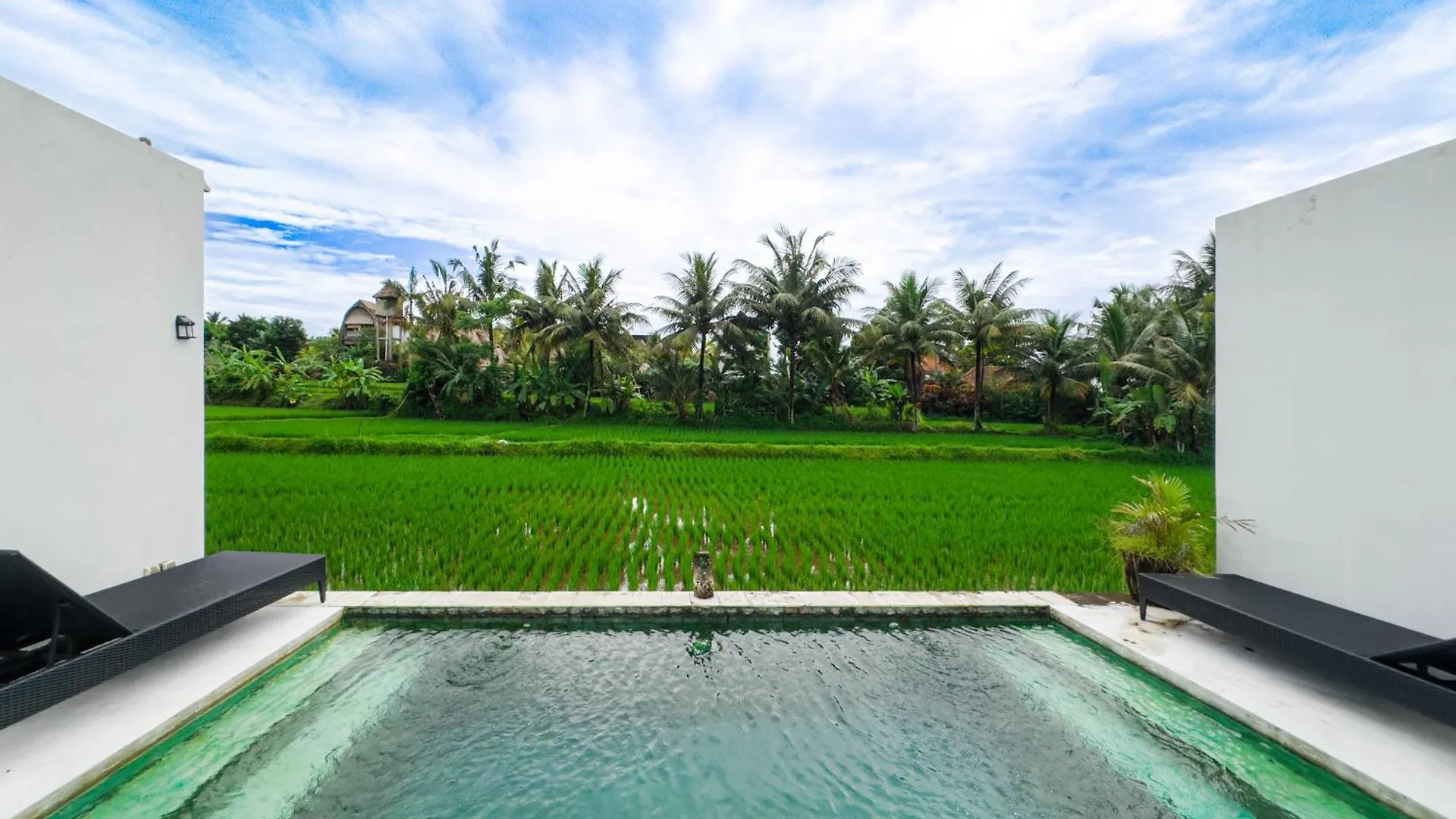 White Cubes Villas Ubud